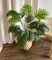 Artificial Palm Tree Fake Tropical Plant Tropical Palm Leaf Bush